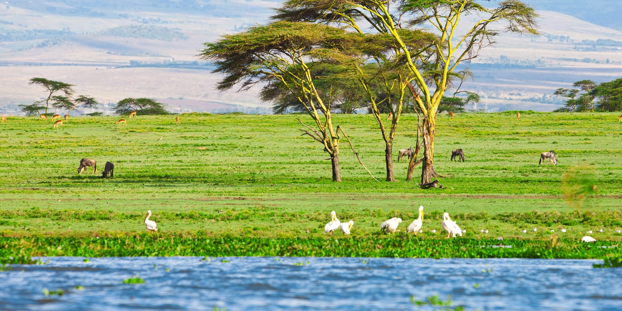 Naivasha — Day Trip
