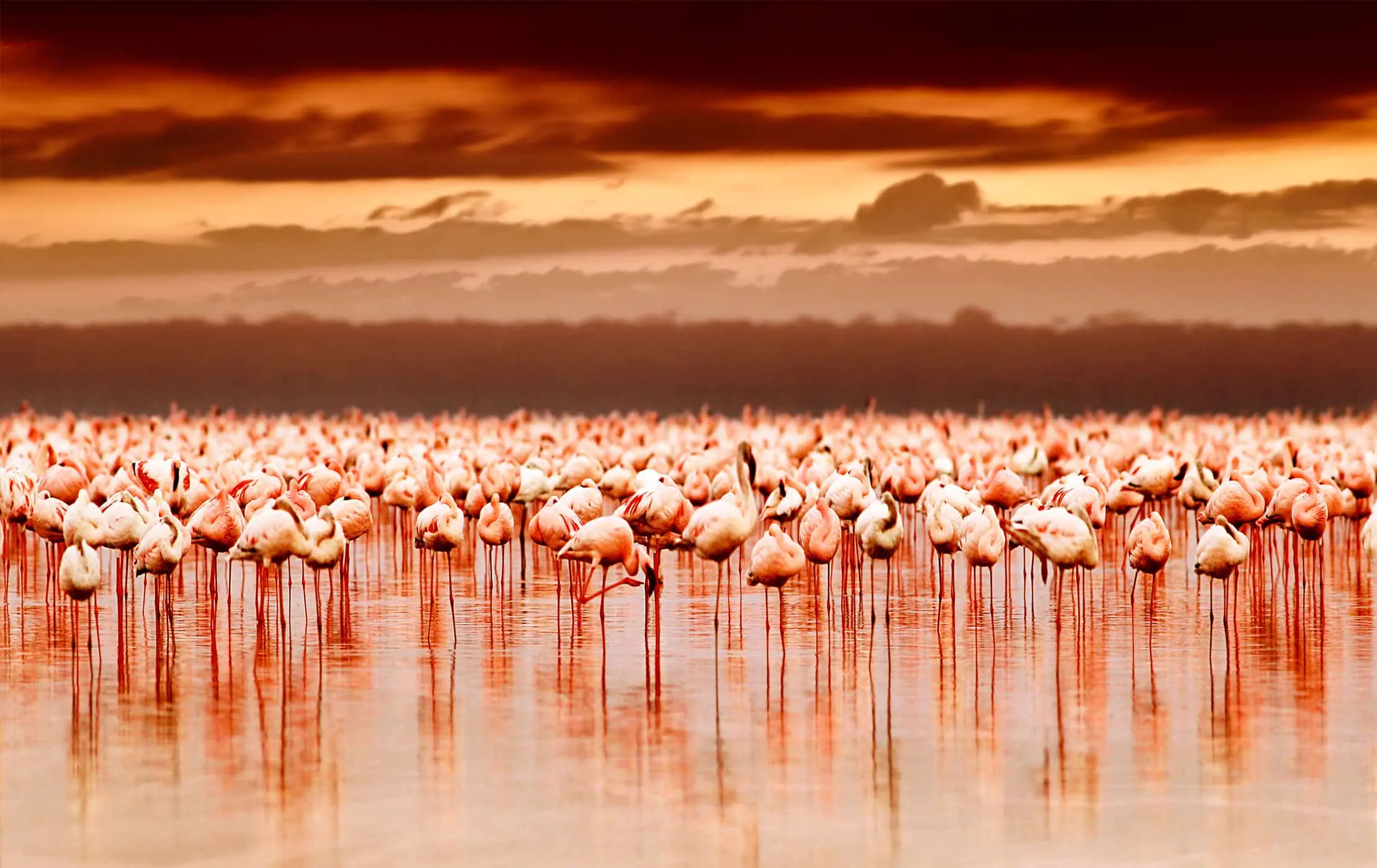 Day trip to Naivasha