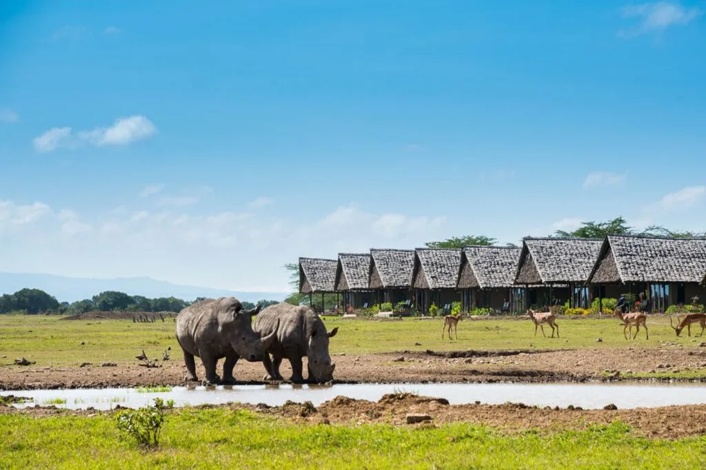 Ol Pejeta Conservancy — Day Trip