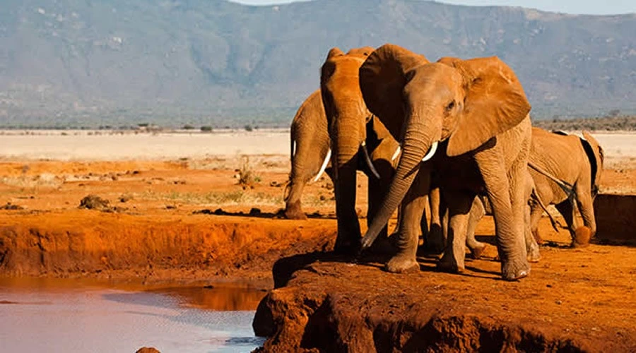 Tsavo Wilderness — 3 Days
