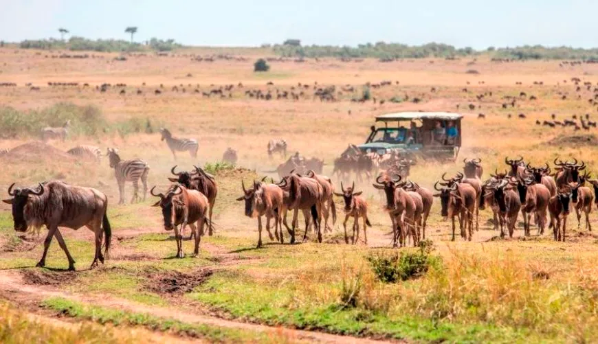 Maasai Mara Classic — 3 Days